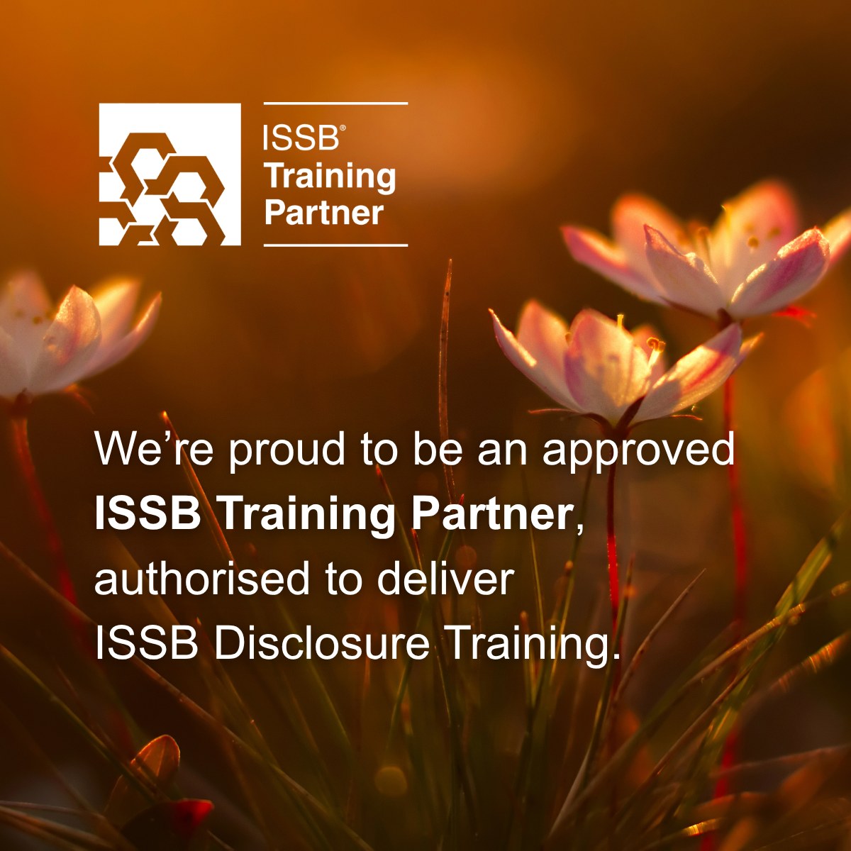 We are proud to be an approved ISSB Training Partner, authorised to deliver ISSB Disclosure Training